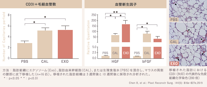 エクソソームを注入した時の毛細血管数と血管新生因子の図