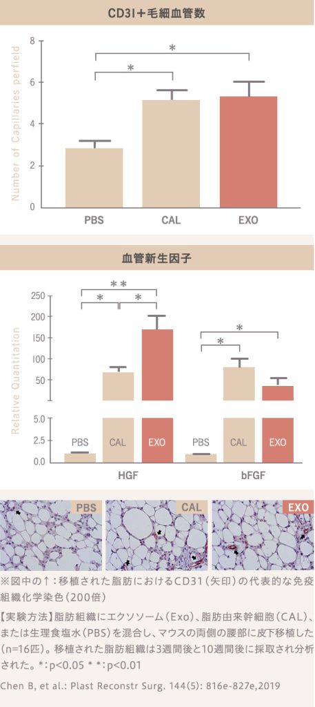 エクソソームを注入した時の毛細血管数と血管新生因子の図