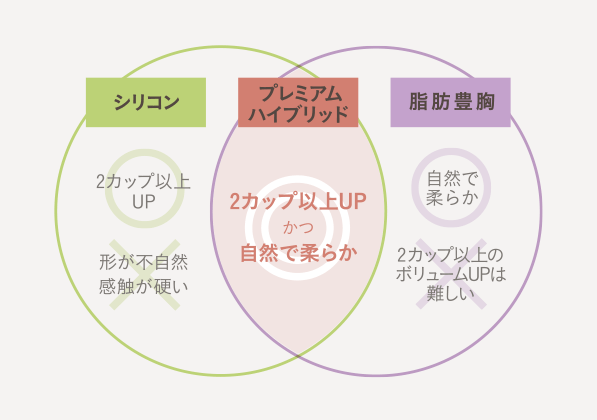 プレミアムハイブリッド豊胸は、このようなご要望にお応えします。 イメージ