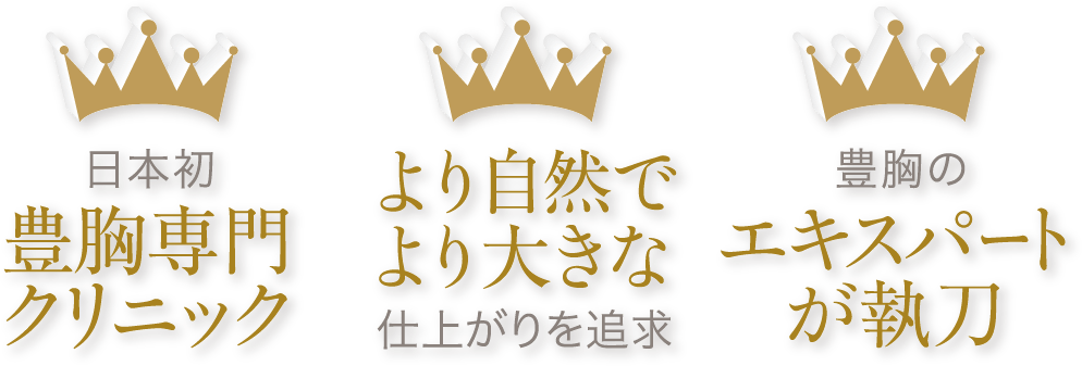 日本初 豊胸専門クリニック / より自然でより大きな仕上がりを追求 / 豊胸のエキスパートが執刀