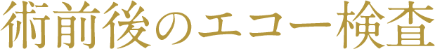 術前後のエコー検査